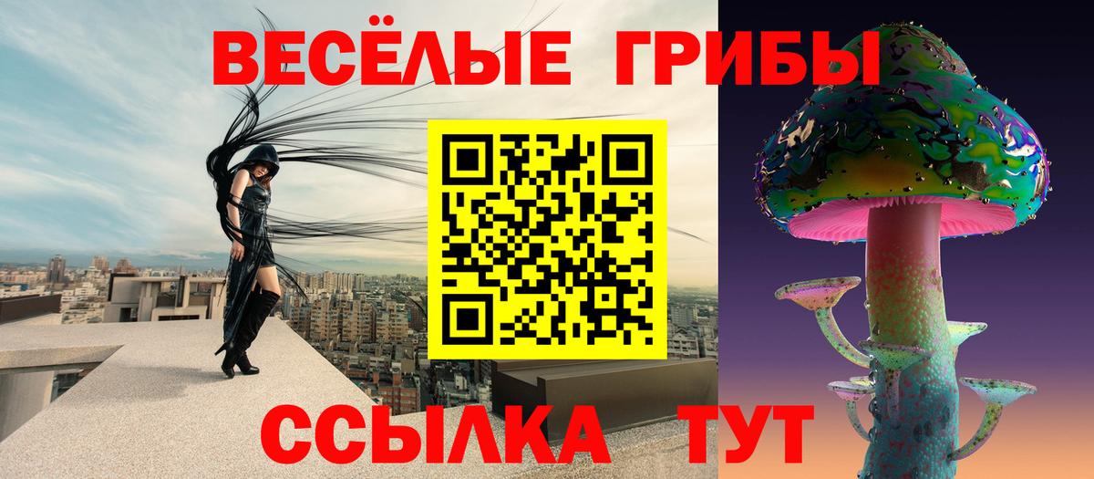 Псилоцибиновые грибы Magic Shrooms  Галлюциногенные грибы Magic Shrooms  Вход с VPN  Королёв 